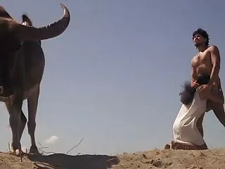 Pussy Prowler