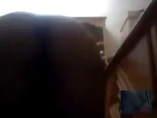 Նիկ Սթիվենսը և Ռենե Լեյքը