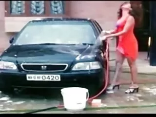 Նիկոլը կատու է ուտում